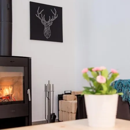 Hébergement de vacances I 1-1 Ferienhaeuser Ilsestein Doppelhaus, 100 Qm, 3 Schlafzimmer *