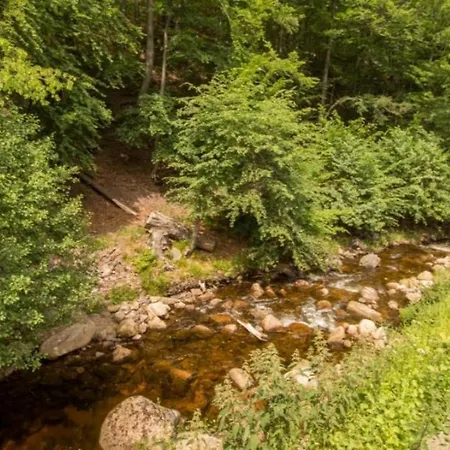 Hébergement de vacances I 1-1 Ferienhaeuser Ilsestein Doppelhaus, 100 Qm, 3 Schlafzimmer