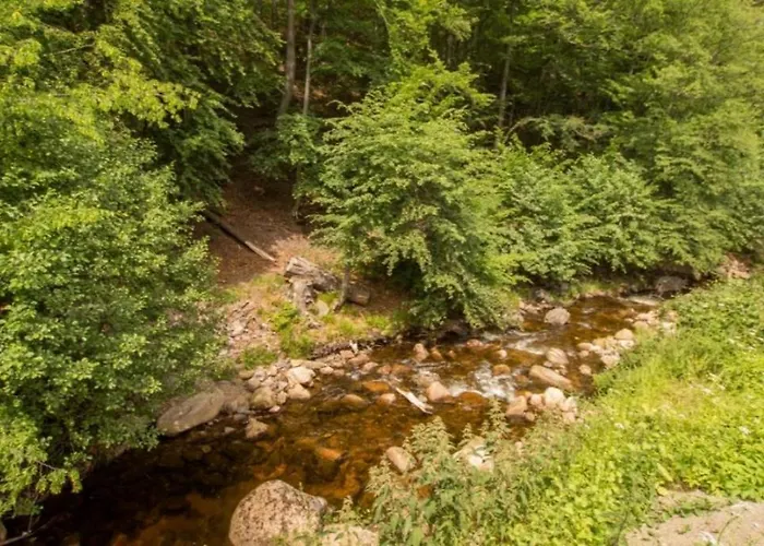 펜션 I 1-1 Ferienhaeuser Ilsestein Doppelhaus, 100 Qm, 3 Schlafzimmer